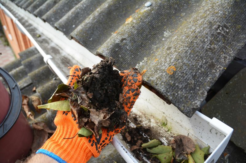 Clogged Gutter Clearing in Longmont, CO