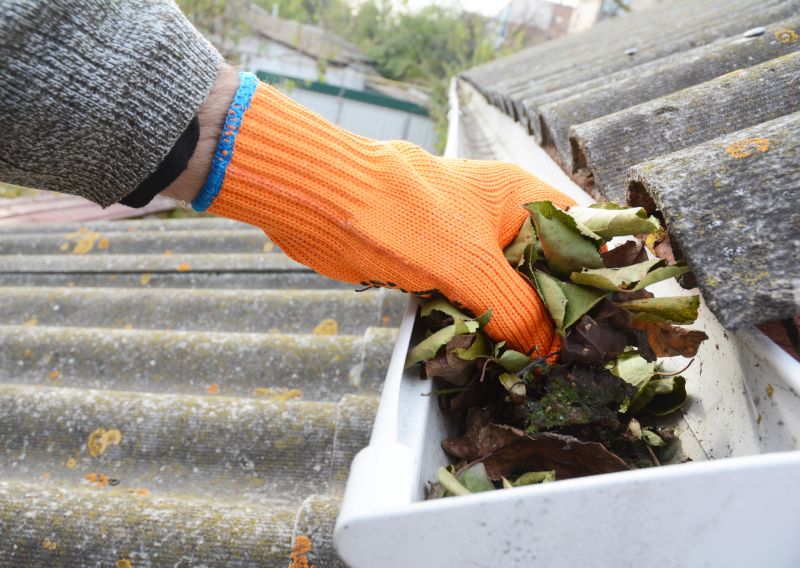 Gutter Leaf Clearing in Long Island, NY